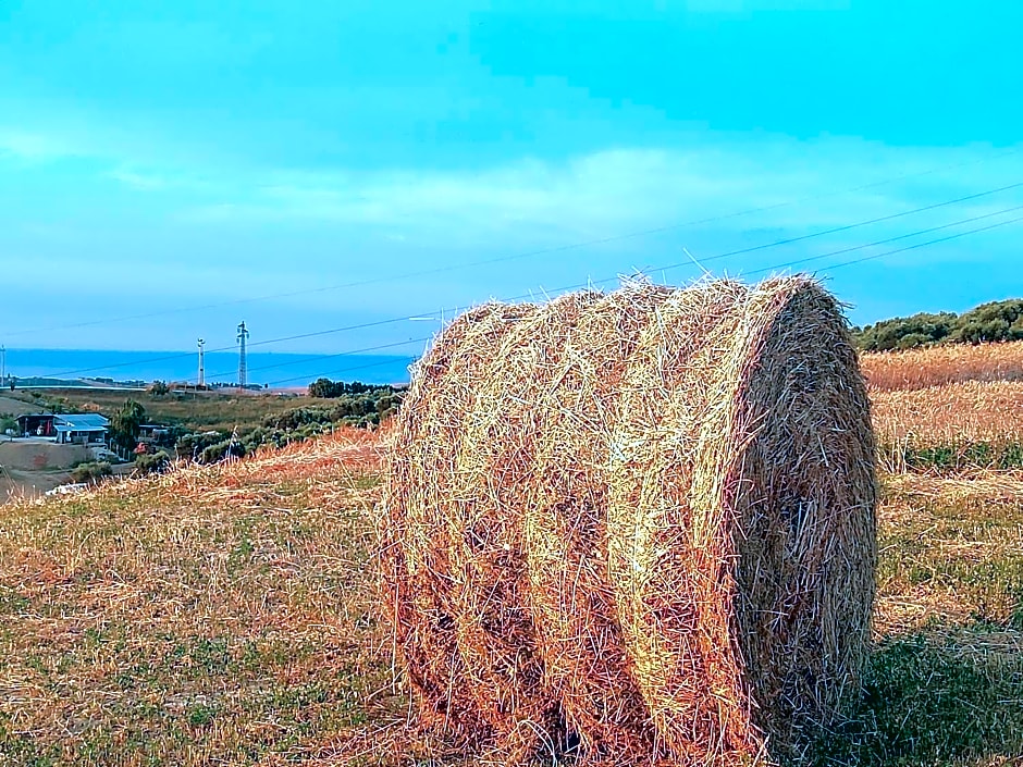 B&B Gli amici del tubarello