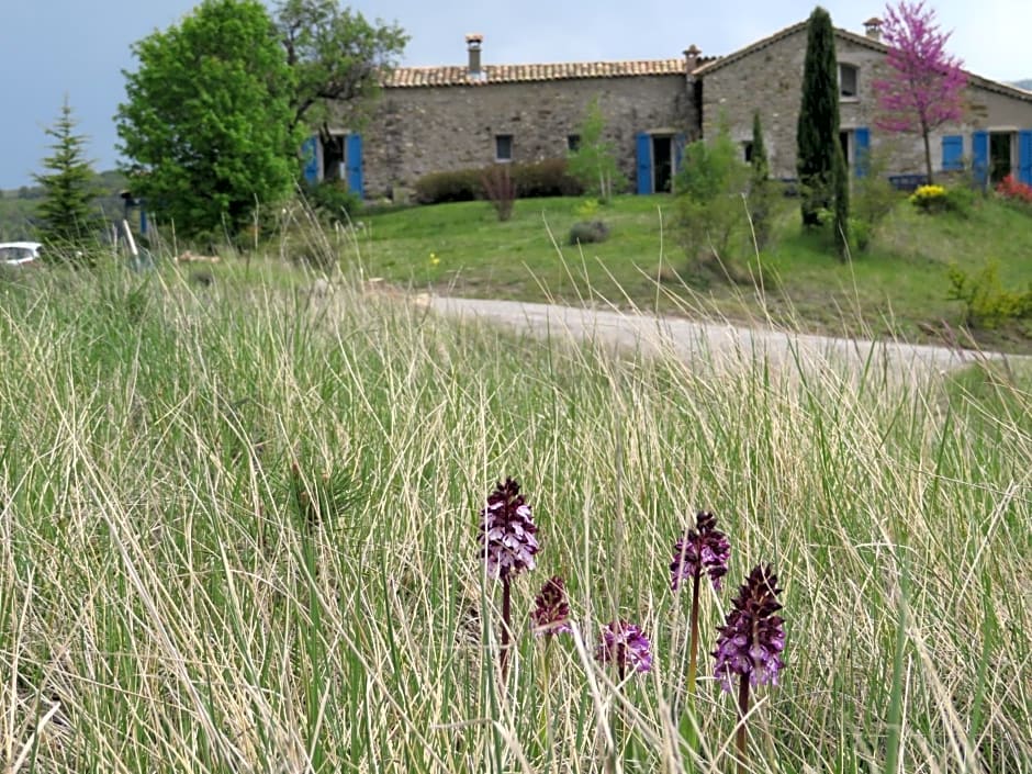 Le Castelet-Arzeliers