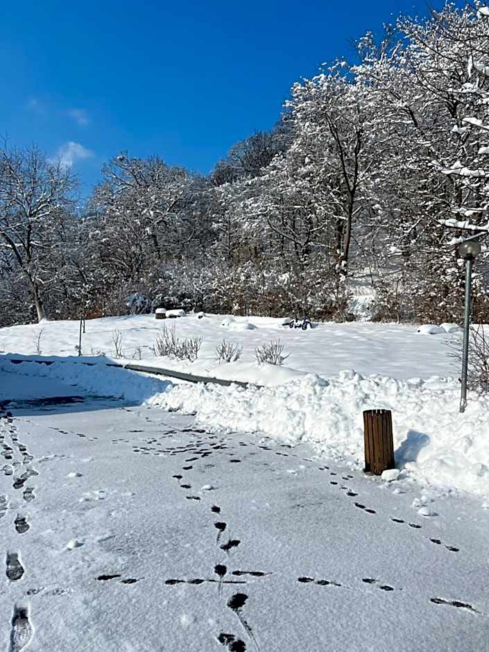 Pensiunea Oșencuța