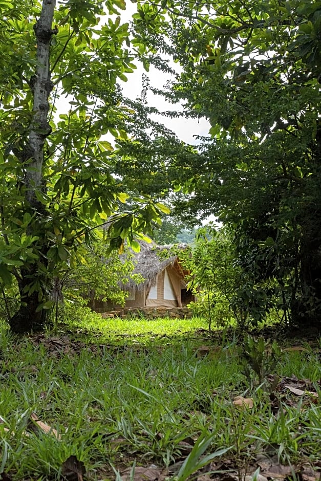 Photo 1 of 7 of Executive Tent (1 King Bed and 3 Twin Beds)