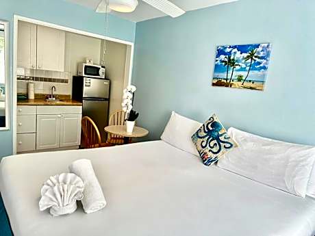 Efficiency Studio Room