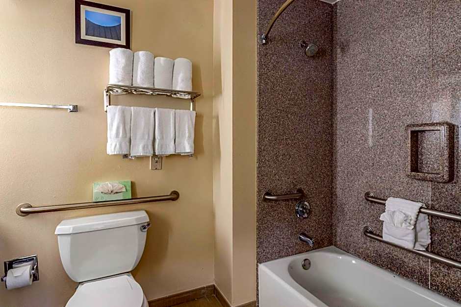 Comfort Suites Near Texas Medical Center - NRG Stadium