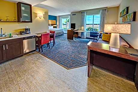 Studio Suite, 1 King Bed with Sofa bed (Mobility Accessible, Tub) (1 King Bed and 1 Double Sofa Bed)