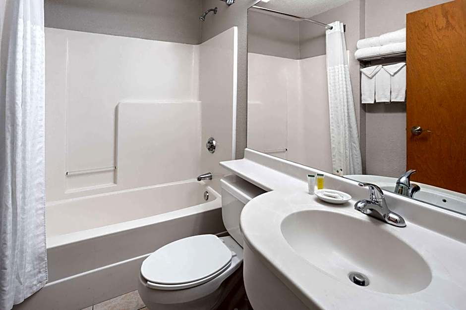 Microtel Inn & Suites By Wyndham Ann Arbor