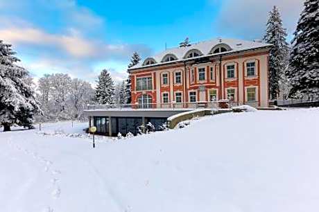Wellness & Spa hotel Villa Regenhart