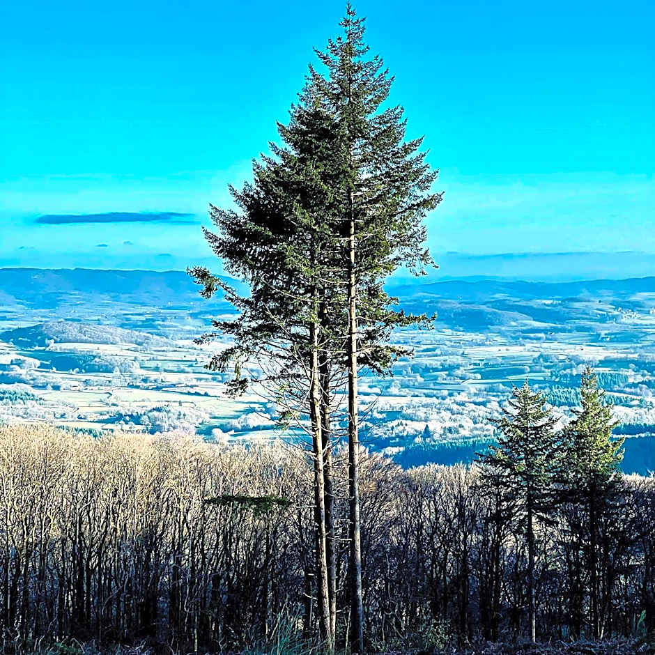 Silent Valley Bed & Breakfast