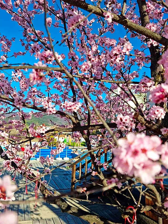 The Five Elements Hotel and SPA