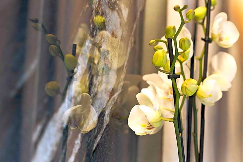 Boutique Hotel Sirmione