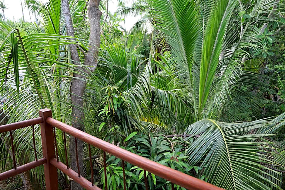 Solez Zihuatanejo
