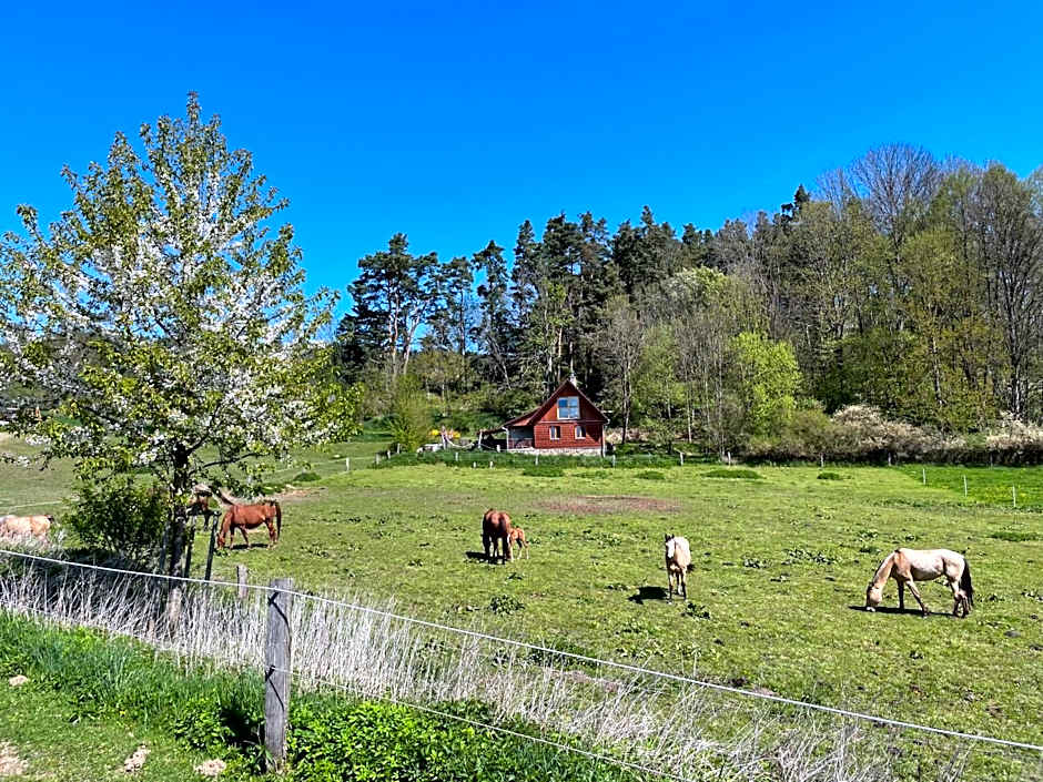 Ubytování Ranč Malenice