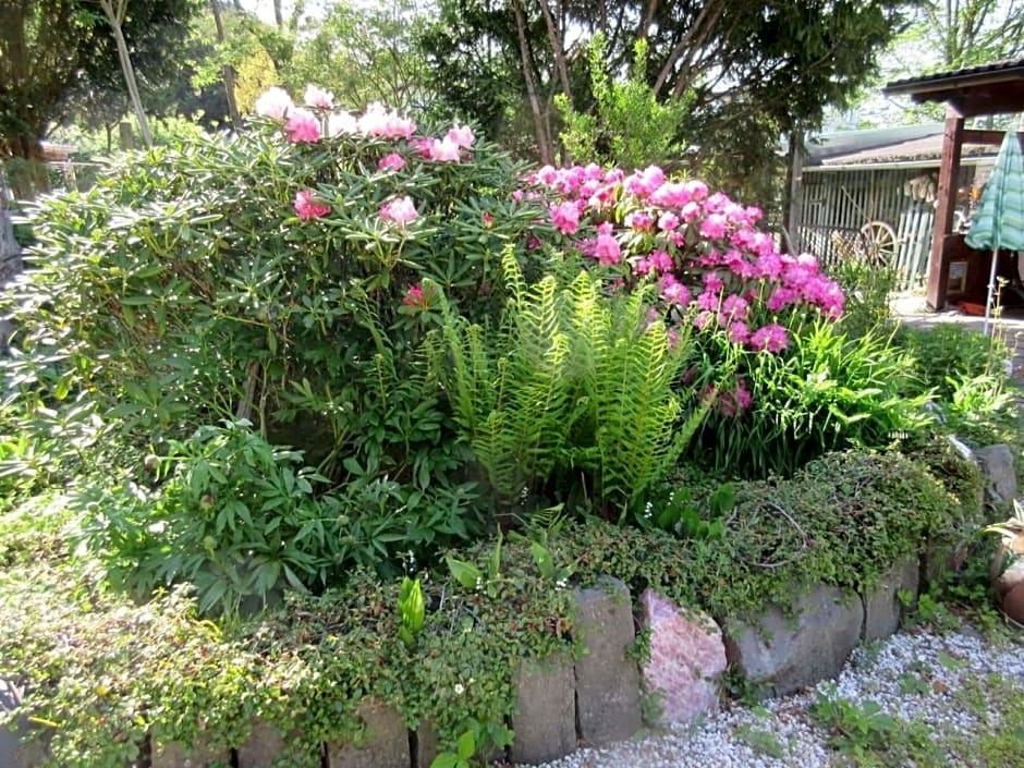 FeWo Landhaus Ederlust HeilungsRäume eV