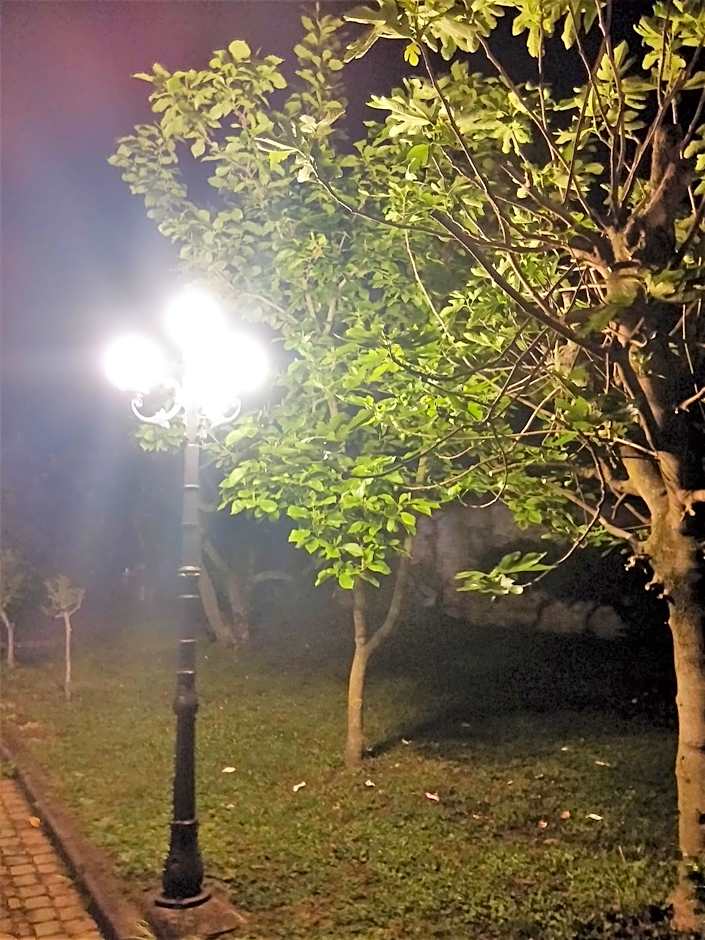 Hotel Damian Park Hotel Delle Magnolie