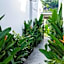 Suku Lifestyle Hotel & Villas