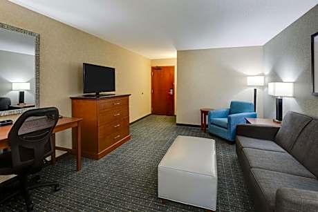 King Suite with Sofa Bed - Accessible, Tub