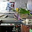 Hotel & Backpackers Zak Schaffhausen