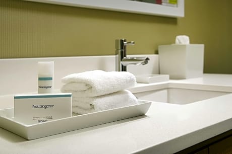 1 King Bed Studio Suite Nonsmoking