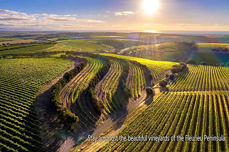 The Old Chaff Mill Organic Vineyard Retreat