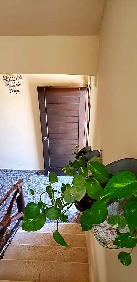 Hotel Casa Baleine