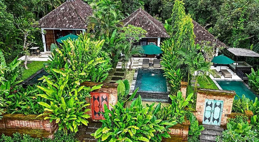 The Damai