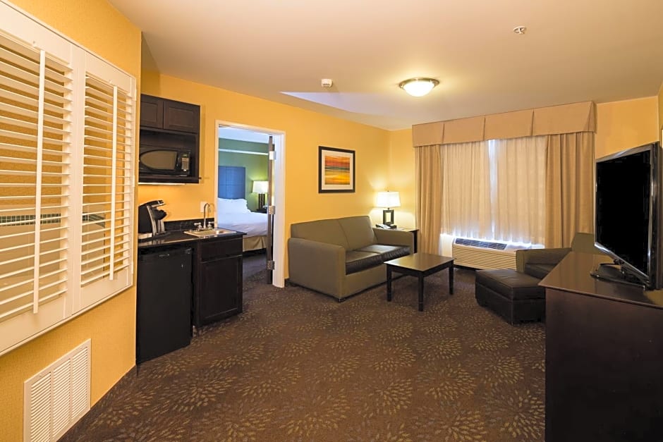 Holiday Inn Express And Suites Detroit North-Troy