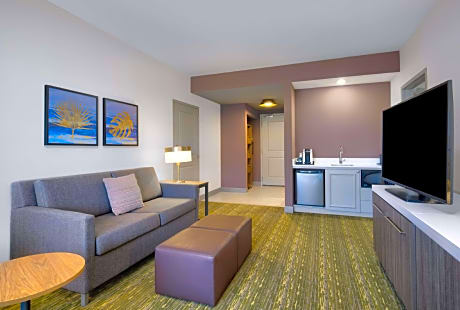 1 King Accessible 1 Bedroom Suite Roll In Shower
