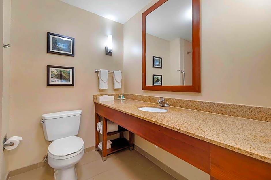 Comfort Suites Elizabethtown