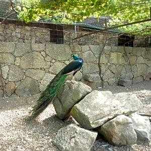 Quinta das Mineirinhas