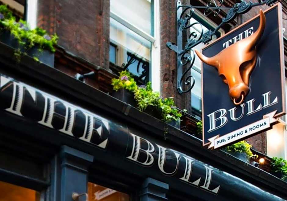 The Bull and The Hide