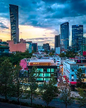 L102 New studio apt 1Bdrm 1bath AC Rooftop