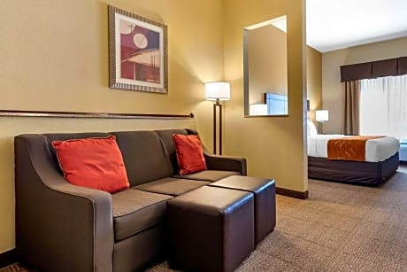1 King Bed, Suite, Nonsmoking, Accessible