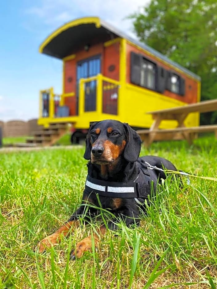 le domaine des drôles de dames