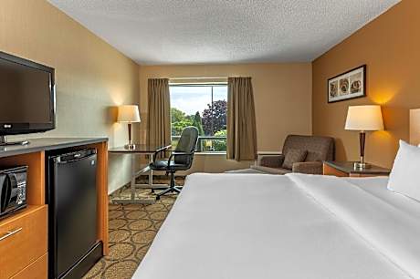 1 Queen Bed - Non-Smoking