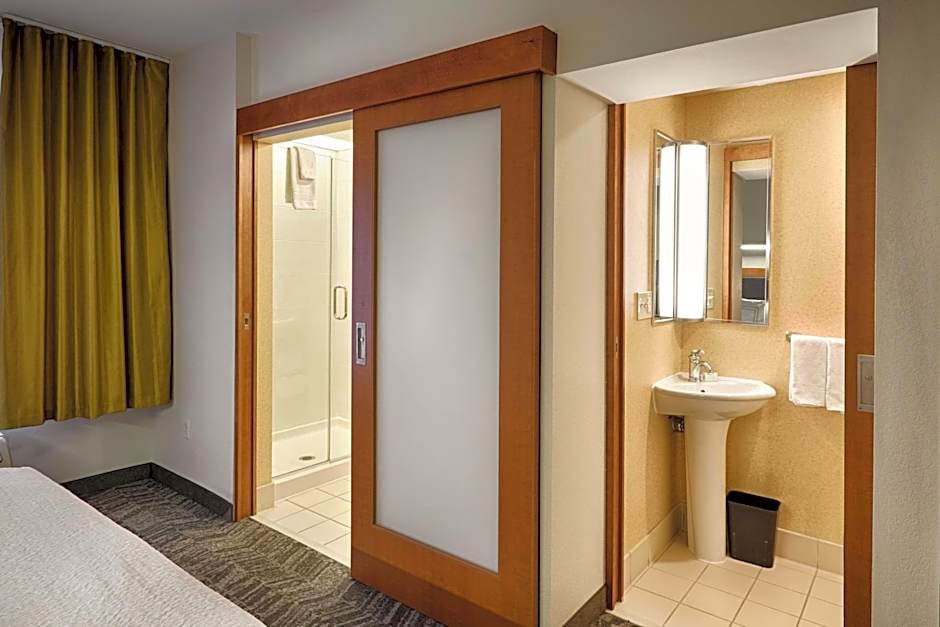 SpringHill Suites by Marriott Albany-Colonie
