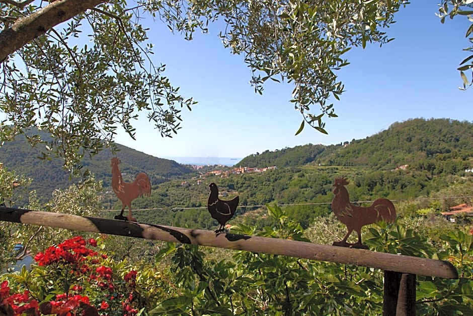 Pietrantica - Affittacamere con giardino NUOVA APERTURA a Trebiano -CITR