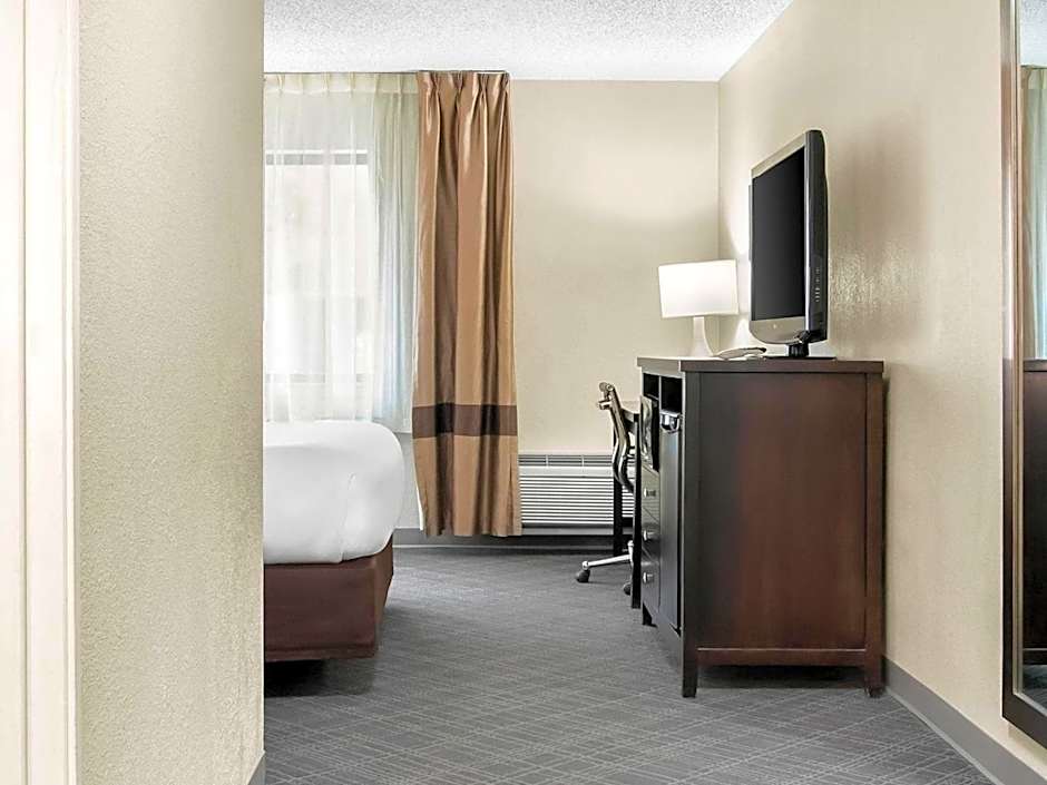 Comfort Inn Detroit Downtown