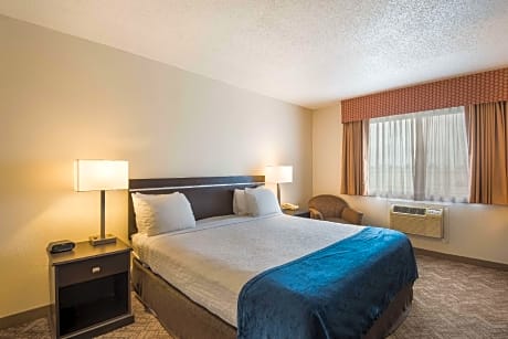 1 King Bed, Non-Smoking, Microwave And Refrigerator, 32-Inch LCD Television, High Speed Net, Full Br