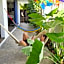 Hostel Humanity