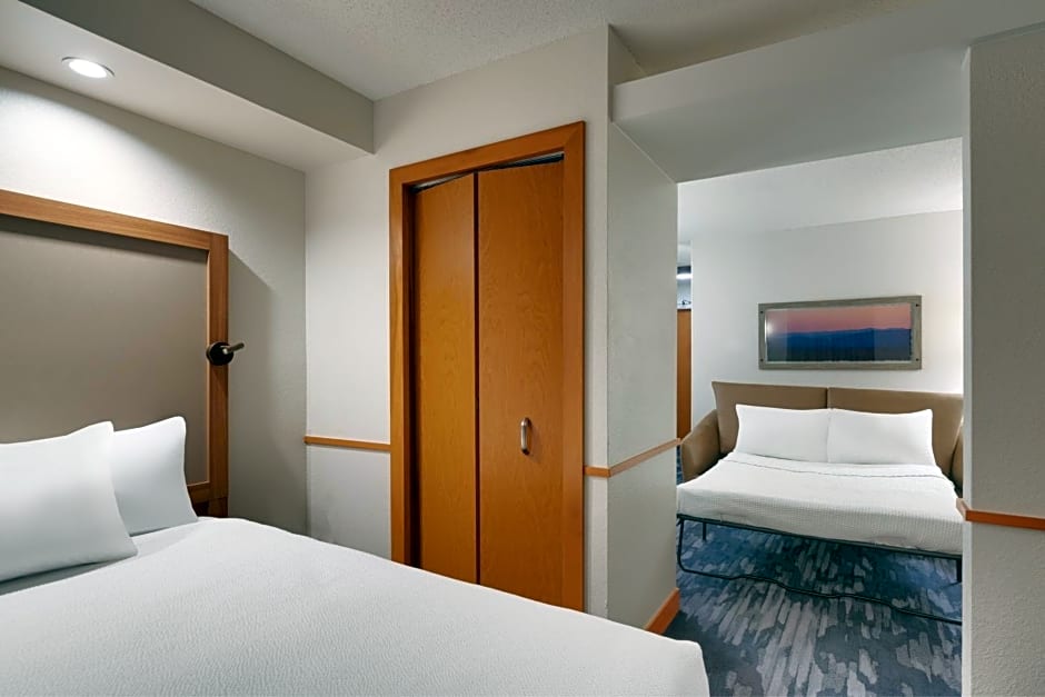 Fairfield Inn & Suites by Marriott Albany