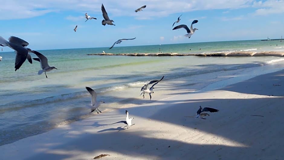 Hotel and Beach Club Escape Holbox