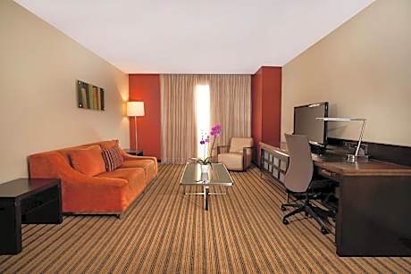 Executive King Suite with City View