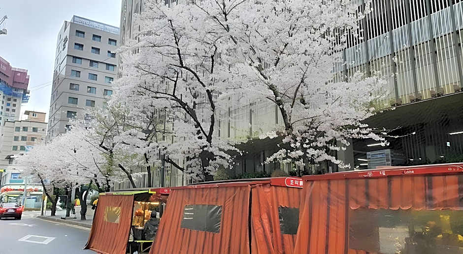 Busan Business Hotel