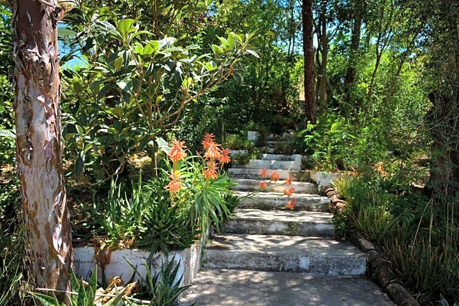 La Barranca de la Barca