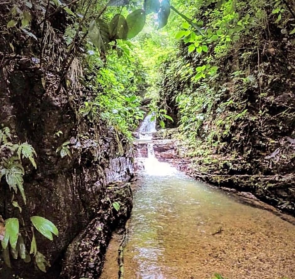 Oxygen Jungle Villas Adults Only