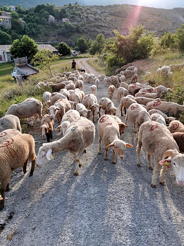La Peyregoune, logement en pleine nature et table d'hôtes