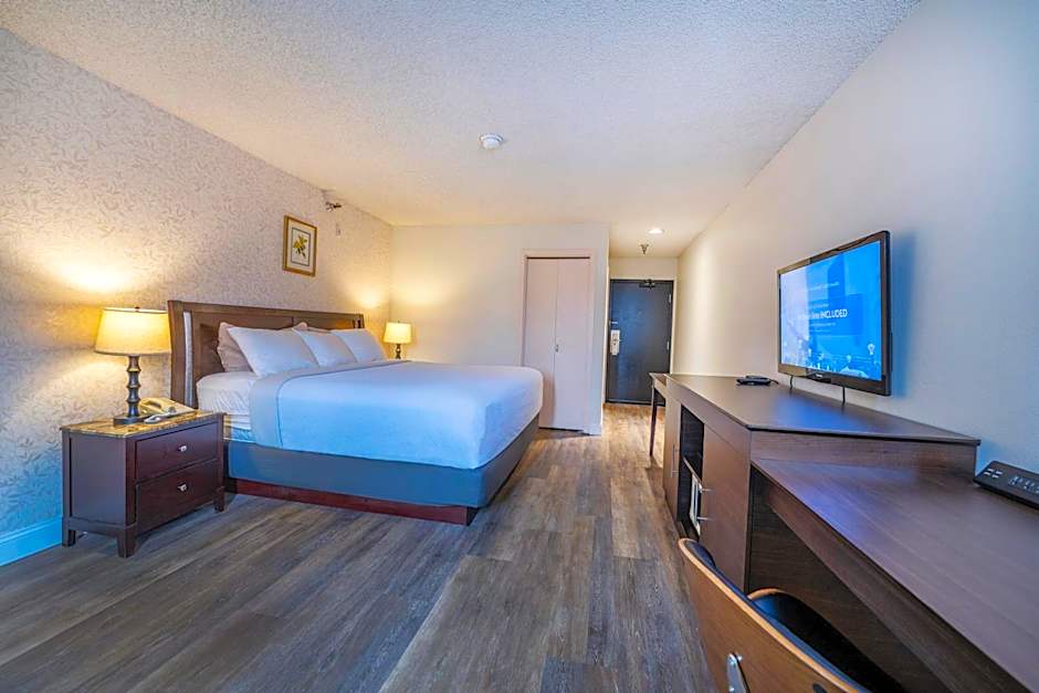 Hotel International