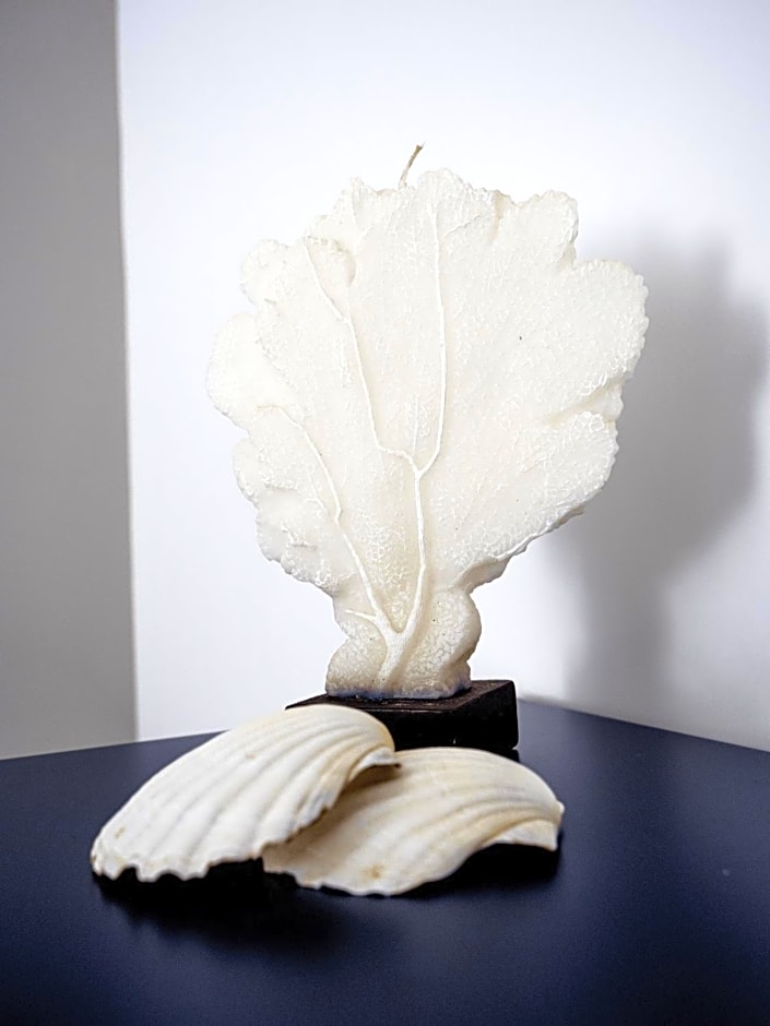 Le Casette sul Mare - Case Vacanza