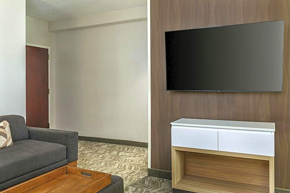 SpringHill Suites by Marriott Norfolk Virginia Beach