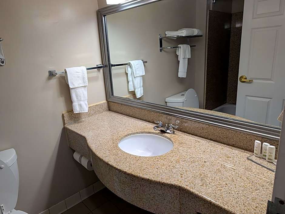 Wingate By Wyndham Chesapeake