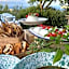 Hotel Borgo Cacciatori