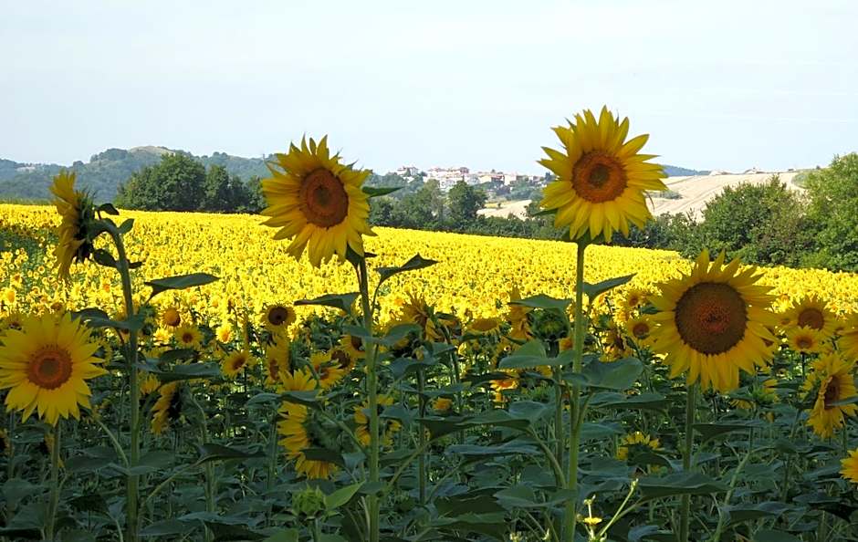 Casa Cairo Rooms&Services